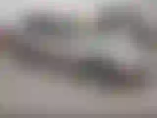 Vehicle Image- 2007 Ford Fusion