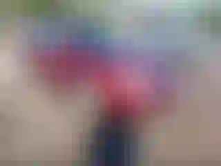 Vehicle Image- 2006 Ford Fusion