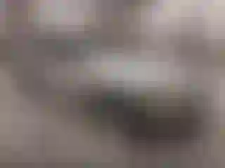 Vehicle Image- 2009 Ford Fusion