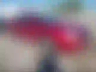 Vehicle Image- 2008 Ford Fusion