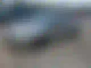 Vehicle Image- 2008 Ford Fusion