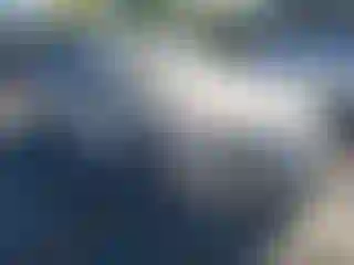 Vehicle Image- 2009 Ford Fusion