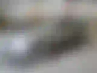 Vehicle Image- 2009 Ford Fusion