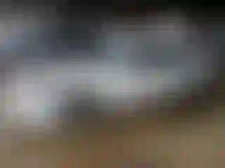 Vehicle Image- 2009 Ford Fusion