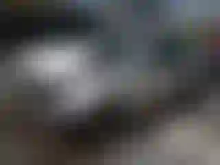 Vehicle Image- 2008 Ford Fusion
