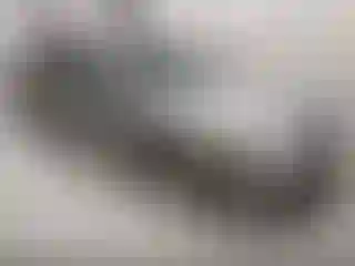 Vehicle Image- 2009 Ford Fusion