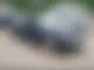 Vehicle Image- 2009 Ford Fusion