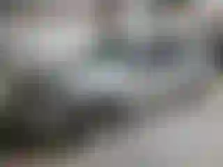 Vehicle Image- 2009 Ford Fusion