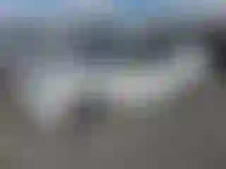 Vehicle Image- 2008 Ford Fusion