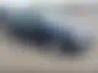 Vehicle Image- 2009 Ford Fusion