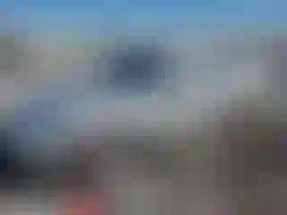 Vehicle Image- 2008 Ford Fusion