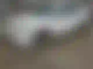 Vehicle Image- 2008 Ford Fusion