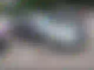 Vehicle Image- 2006 Ford Fusion