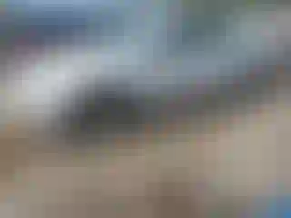 Vehicle Image- 2009 Ford Fusion