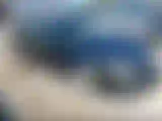 Vehicle Image- 2006 Ford Fusion