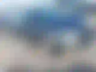 Vehicle Image- 2009 Ford Fusion