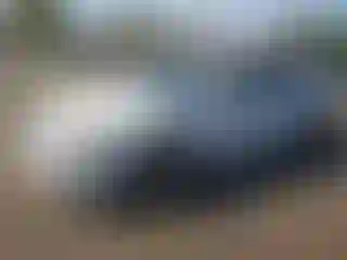 Vehicle Image- 2008 Ford Fusion