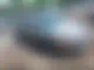 Vehicle Image- 2009 Ford Fusion