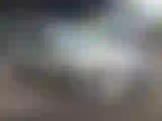 Vehicle Image- 2007 Ford Fusion