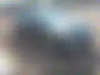 Vehicle Image- 2009 Ford Fusion