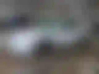 Vehicle Image- 2009 Ford Fusion