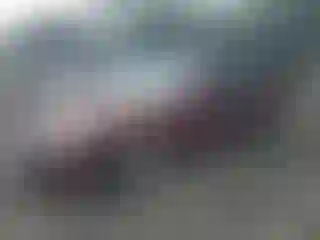 Vehicle Image- 2006 Ford Fusion