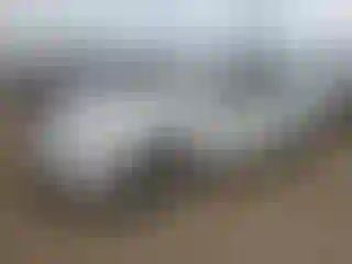 Vehicle Image- 2009 Ford Fusion