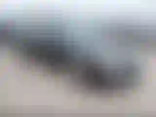 Vehicle Image- 2007 Ford Fusion