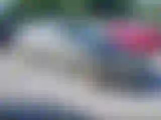 Vehicle Image- 2008 Ford Fusion