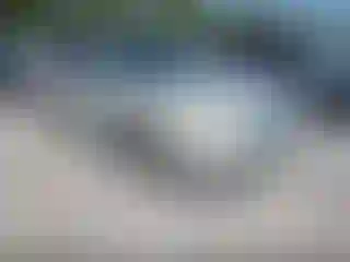 Vehicle Image- 2008 Ford Fusion