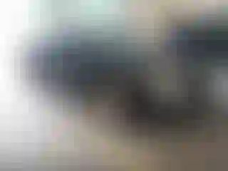 Vehicle Image- 2006 Ford Fusion