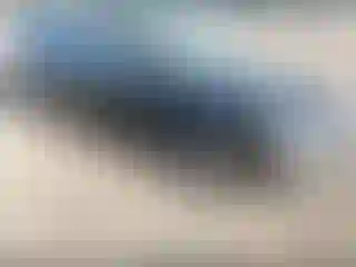 Vehicle Image- 2006 Ford Fusion