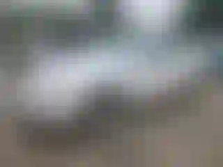 Vehicle Image- 2009 Ford Fusion