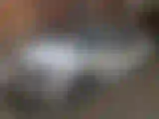 Vehicle Image- 2010 Ford Fusion