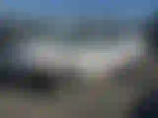 Vehicle Image- 2010 Ford Fusion