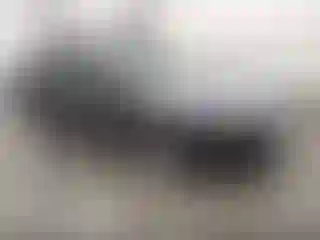 Vehicle Image- 2010 Ford Fusion