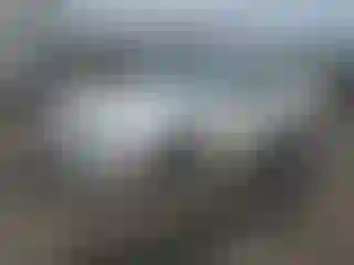 Vehicle Image- 2011 Ford Fusion