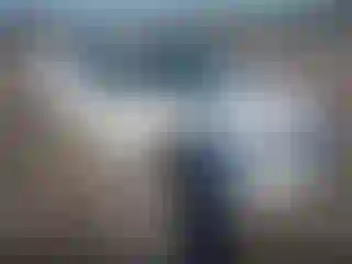 Vehicle Image- 2010 Ford Fusion