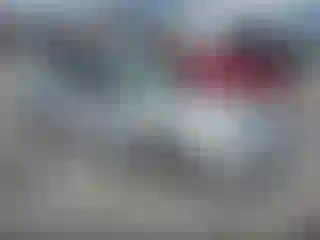 Vehicle Image- 2010 Ford Fusion
