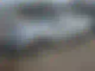 Vehicle Image- 2010 Ford Fusion
