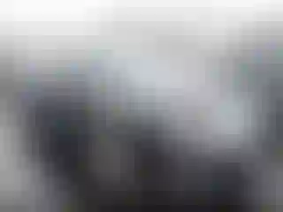 Vehicle Image- 2010 Ford Fusion