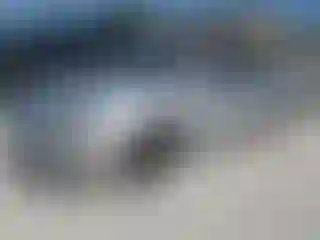 Vehicle Image- 2010 Ford Fusion