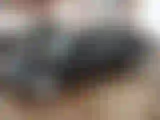 Vehicle Image- 2011 Ford Fusion