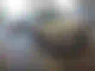 Vehicle Image- 2011 Ford Fusion