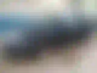 Vehicle Image- 2010 Ford Fusion