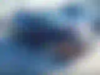 Vehicle Image- 2011 Ford Fusion