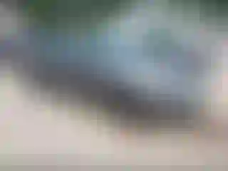 Vehicle Image- 2011 Ford Fusion