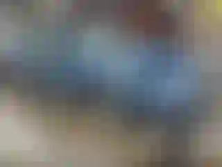 Vehicle Image- 2010 Ford Fusion
