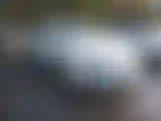 Vehicle Image- 2011 Ford Fusion