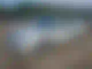 Vehicle Image- 2010 Ford Fusion